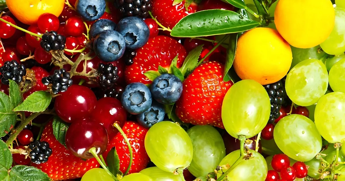 Cây ăn quả xanh tốt, sai trái nhờ đất trồng được cải tạo chất lượng