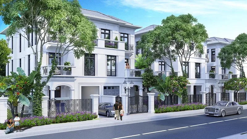 Cây cảnh chậu lớn màu nâu và vàng đất phù hợp với người mệnh Thổ