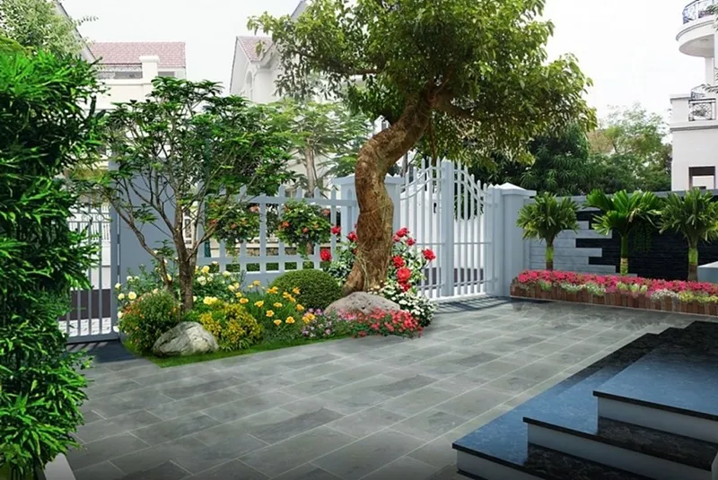 Cây cảnh phong thủy theo hành Mộc không hợp với người mệnh Kim