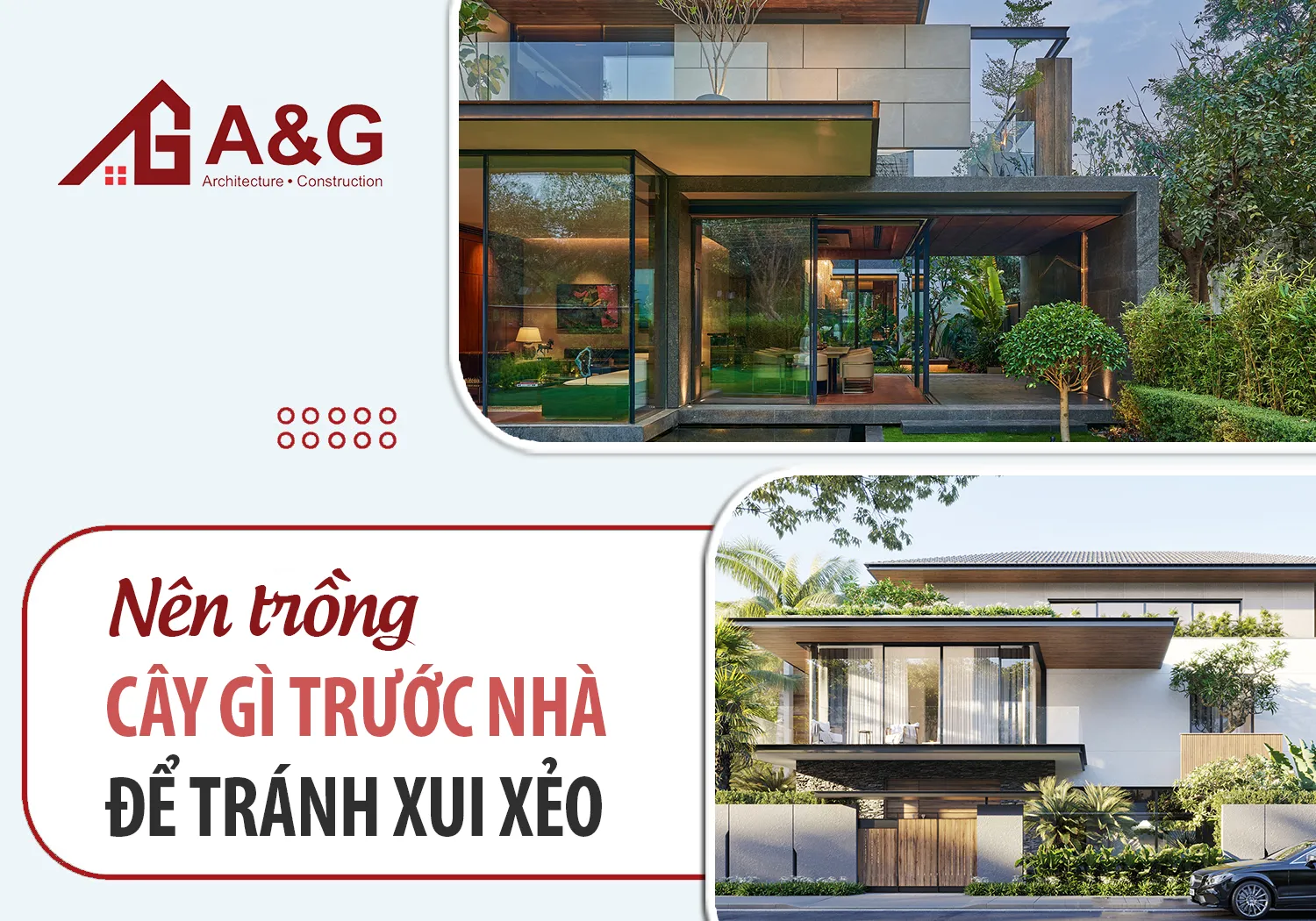 Cây cau cảnh thanh thoát trồng trước nhà mang lại sự thịnh vượng và không gian xanh