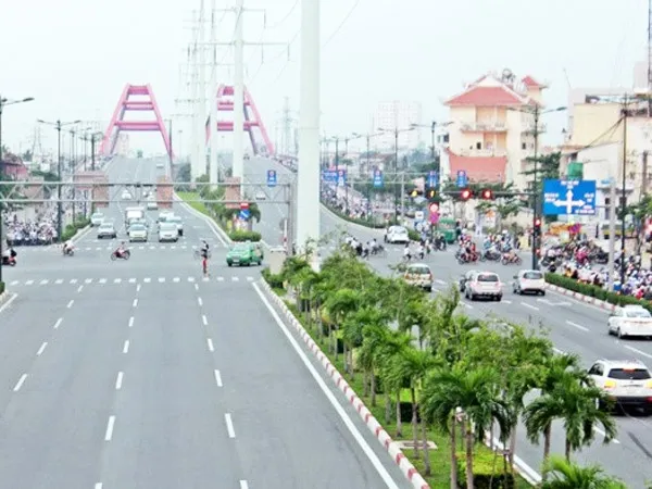 Cây Cau cảnh trồng thành hàng trên dải phân cách, mang lại vẻ đẹp cổ điển và khả năng lọc không khí