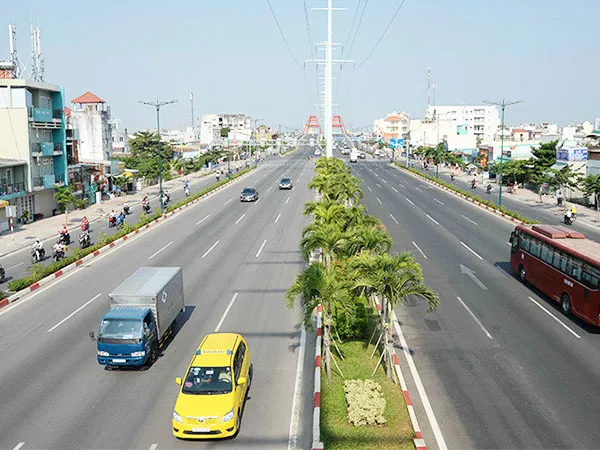 Cây Cau được sử dụng như giải pháp xanh cho dải phân cách, thân thẳng không chiếm nhiều diện tích