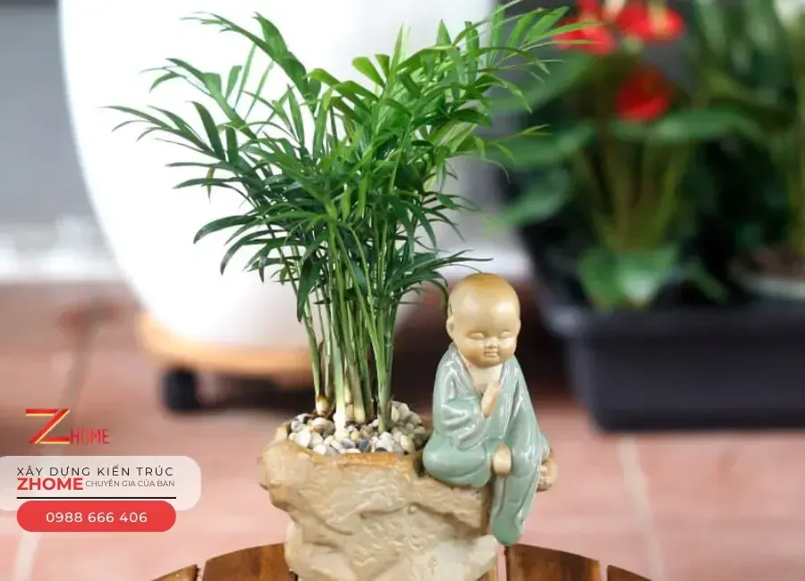 Cây Cau Tiểu Trâm thân mảnh, lá xanh mượt, là thần hộ mệnh cho không gian hiện đại