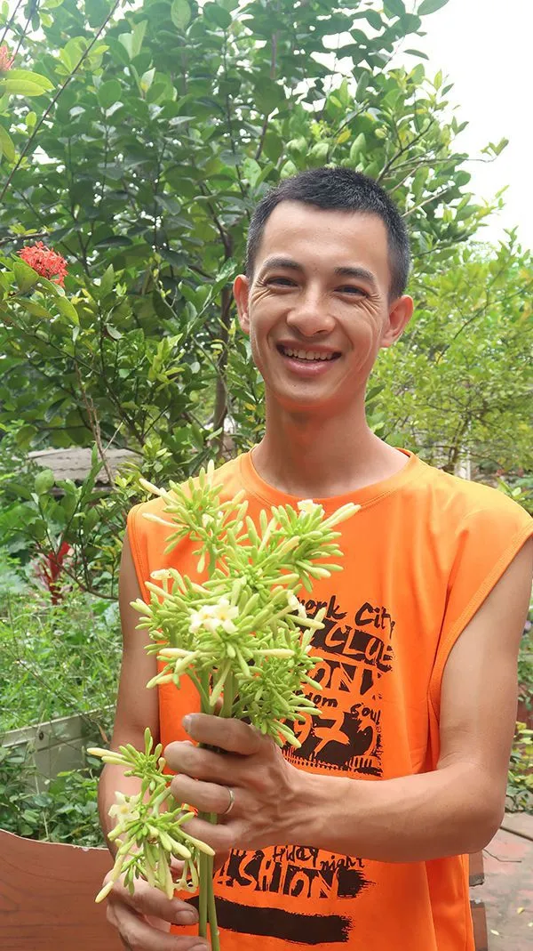 Cây đu đủ đực đã lớn và đang ra hoa thành chùm dài, minh họa kết quả của cách trồng cây đu đủ từ hạt thành công