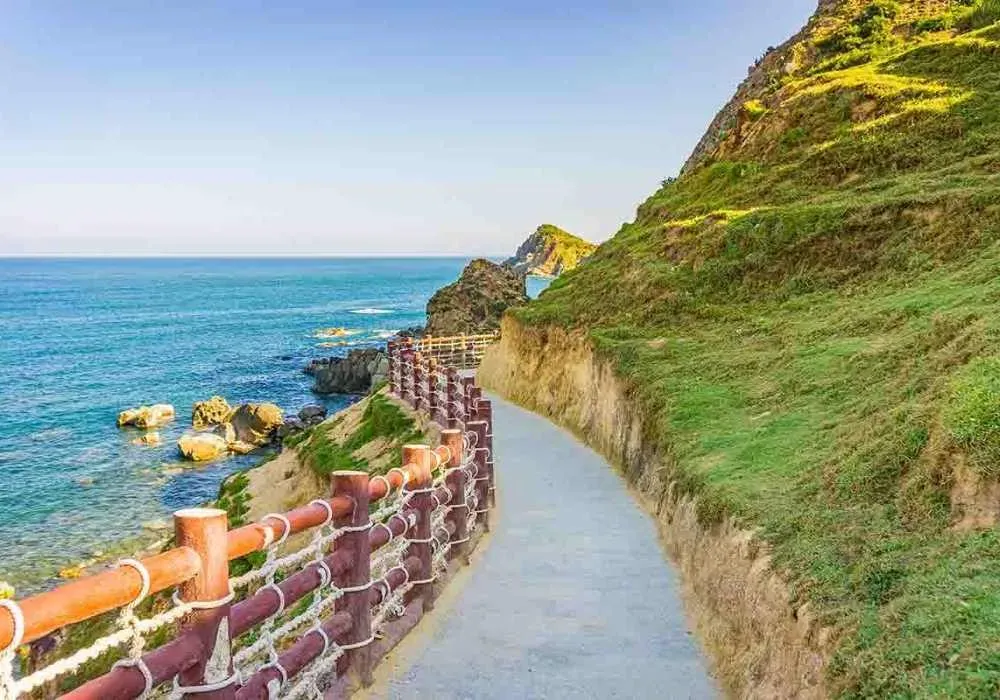 Cây giống dâu tây khỏe mạnh là yếu tố tiên quyết để đảm bảo năng suất, cần được kiểm tra kỹ lưỡng