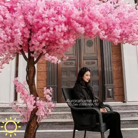 Cách Chăm Sóc Cây Hoa Đào Toàn Diện: Kỹ Thuật Kích Hoa Đúng Dịp Tết