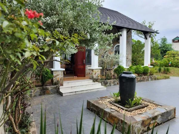 Cây khô héo là điều kỵ