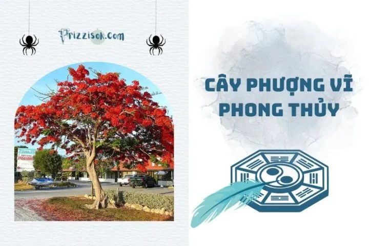 Có Nên Trồng Cây Phượng Trước Nhà: Phân Tích Chuyên Sâu Từ Góc Độ Phong Thủy Và Kỹ Thuật