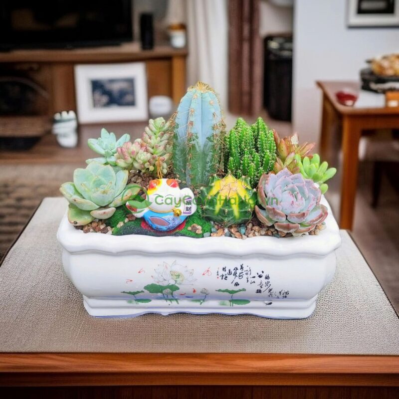 Cách Trồng Cây Xung Đúng Kỹ Thuật Làm Bonsai Đạt Hiệu Quả Cao