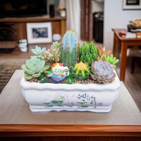 Cách Trồng Cây Đào Trong Chậu Lâu Năm Đạt Hiệu Quả Tối Ưu