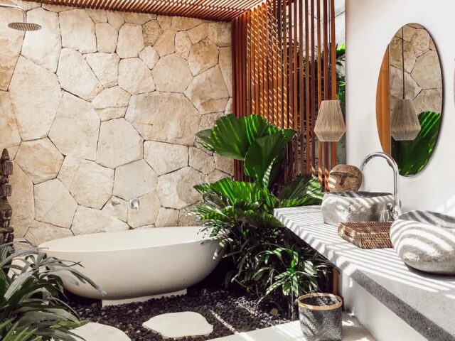 Những Loại Cây Nên Trồng Trong Nhà Vệ Sinh Lọc Khí, Hút Ẩm Hiệu Quả Nhất