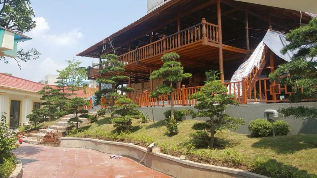 Cây tùng la hán bonsai mini được đặt trên thềm bậc thang trước nhà