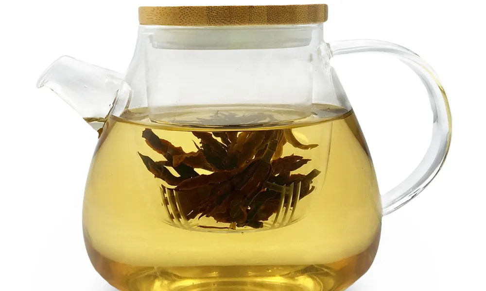 Chăm sóc đúng kỹ thuật giúp hoa lan tiêu nở đều, đẹp, bền màu