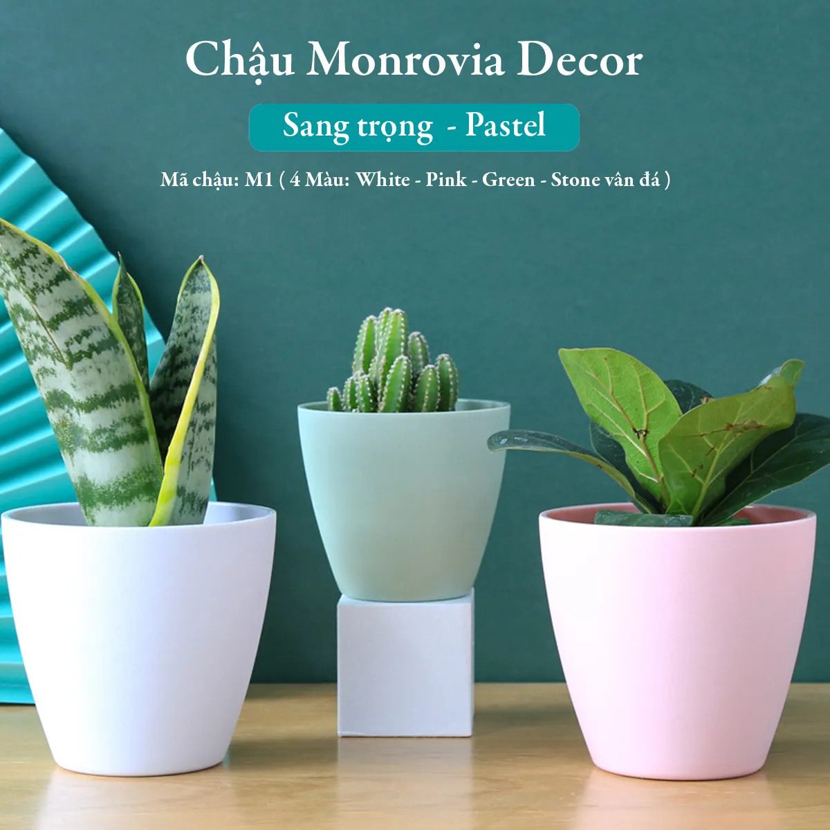 Chậu cây mini làm từ Melamine với cỏ may mắn xanh