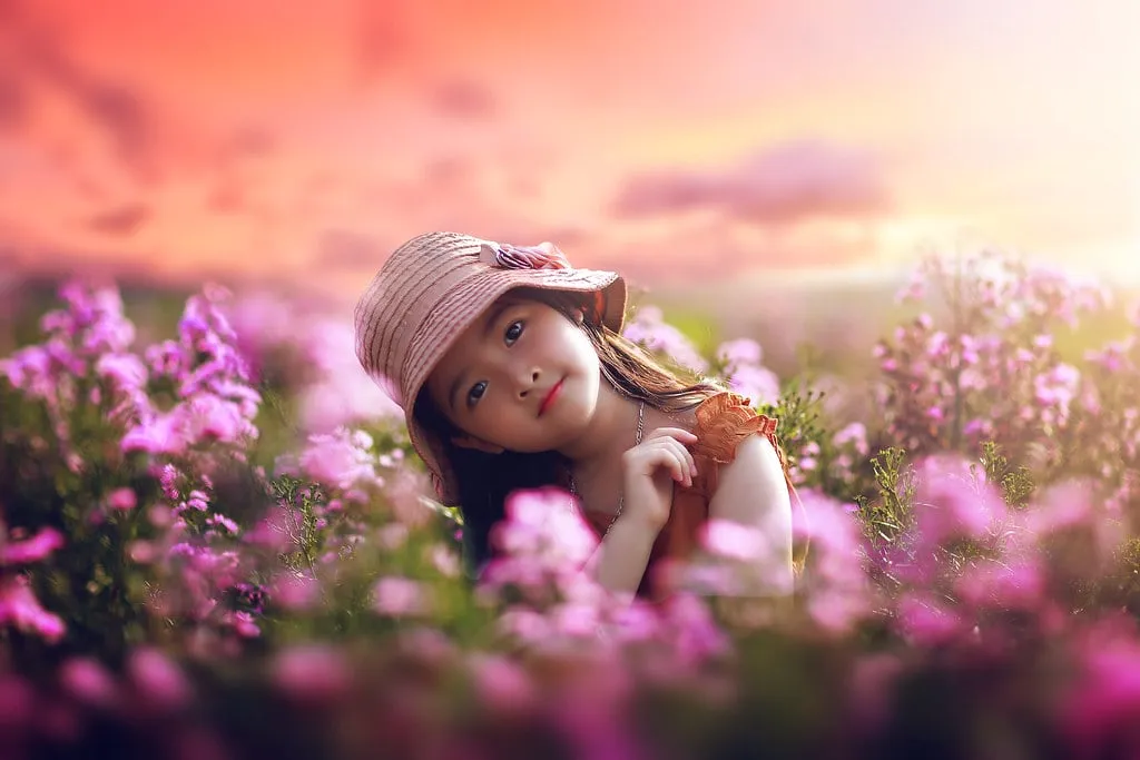 Chậu cúc tím thạch thảo chịu rét vào mùa đông