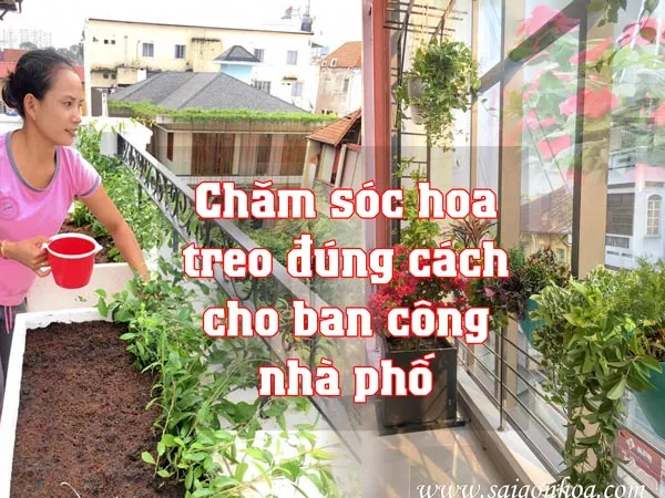Chậu hoa treo rực rỡ sắc màu được chăm sóc đúng cách trên ban công