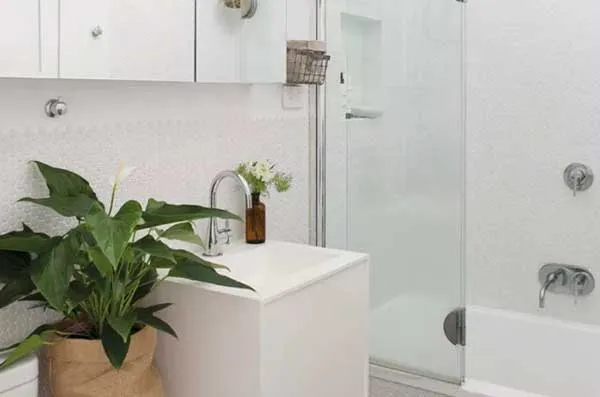 Chậu Lan Ý (Spathiphyllum) với hoa trắng thanh lịch, lý tưởng để trồng trong môi trường có độ ẩm cao như nhà tắm.