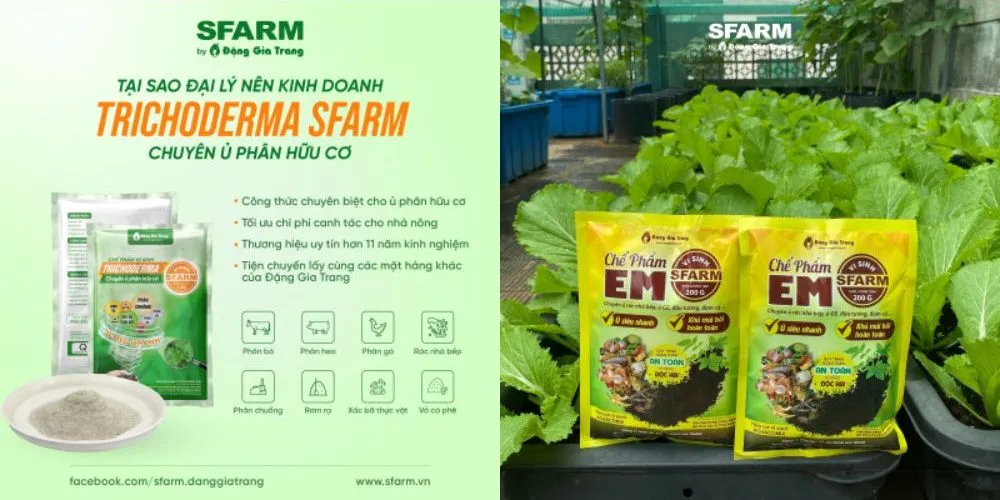Chế phẩm Trichoderma và EM SFARM