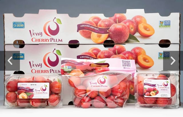 Cách Trồng Cây Cherry Anh Đào Đạt Năng Suất Cao Nhất Tại Nhà