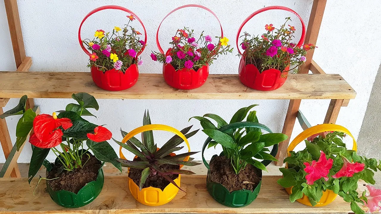 Chiếc chậu cây mini được làm từ chai nhựa cũ, phù hợp để trồng sen đá trong khu vực vườn rộng nên trồng cây gì