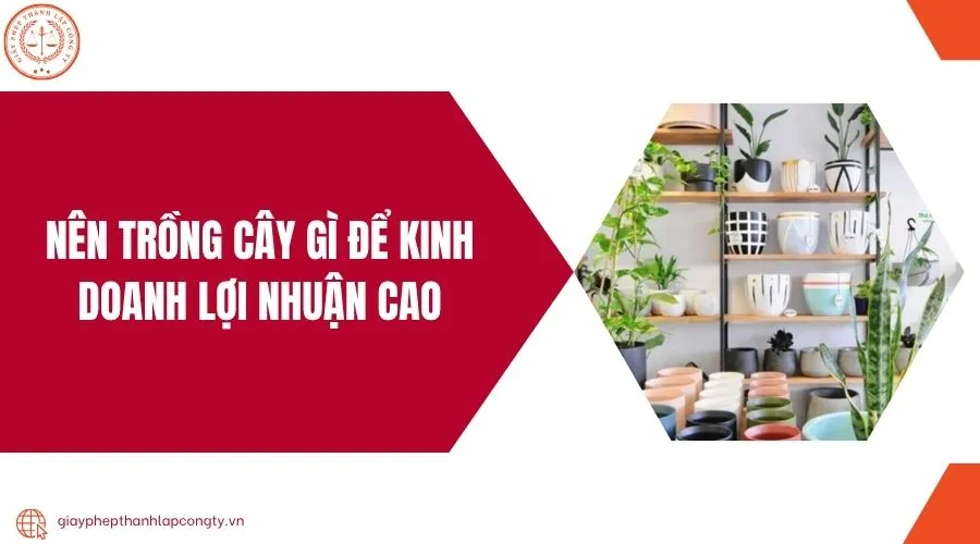 Chiến lược đầu tư và trồng cây kinh doanh nông nghiệp hiệu quả với tiềm năng lợi nhuận vượt trội