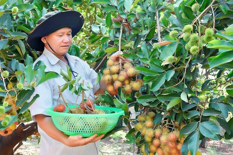 Hướng Dẫn Cách Trồng Cây Ăn Quả Chuẩn Kỹ Thuật Từ Chuyên Gia