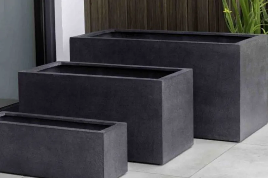 Chọn chậu xi măng cứng cáp cho cách trồng cây trên sân thượng, kỹ thuật trồng cây