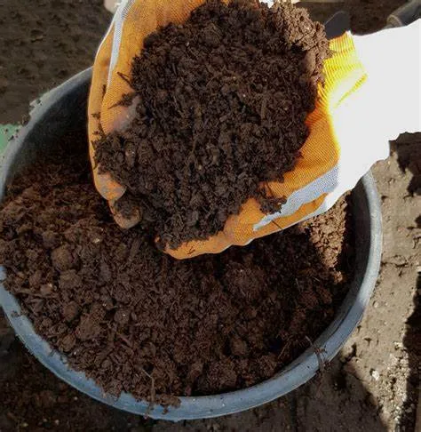 Chọn hỗn hợp đất tốt nhất với vật liệu xốp để đảm bảo độ thoát nước cho cây cảnh