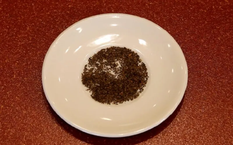 Chọn lựa và xử lý hạt giống cây gai xanh chất lượng