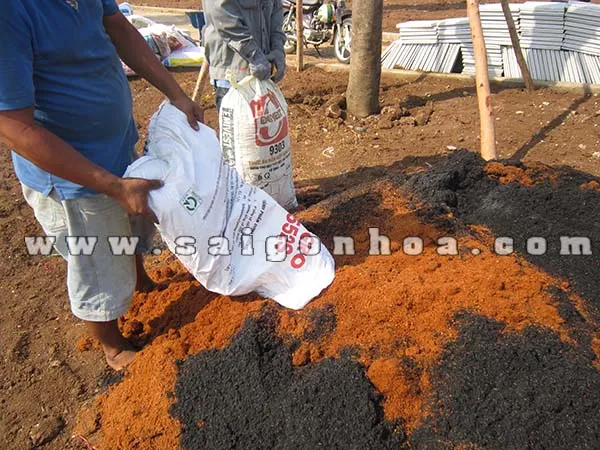 Chuẩn bị đất trồng cây kèn hồng