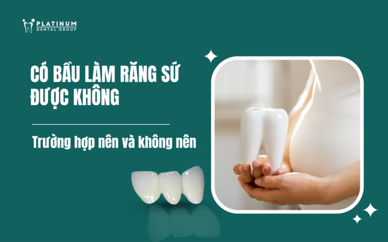 Có Nên Trồng Cây Trong Phòng Máy Lạnh: Lợi Ích Và Hướng Dẫn Chi Tiết