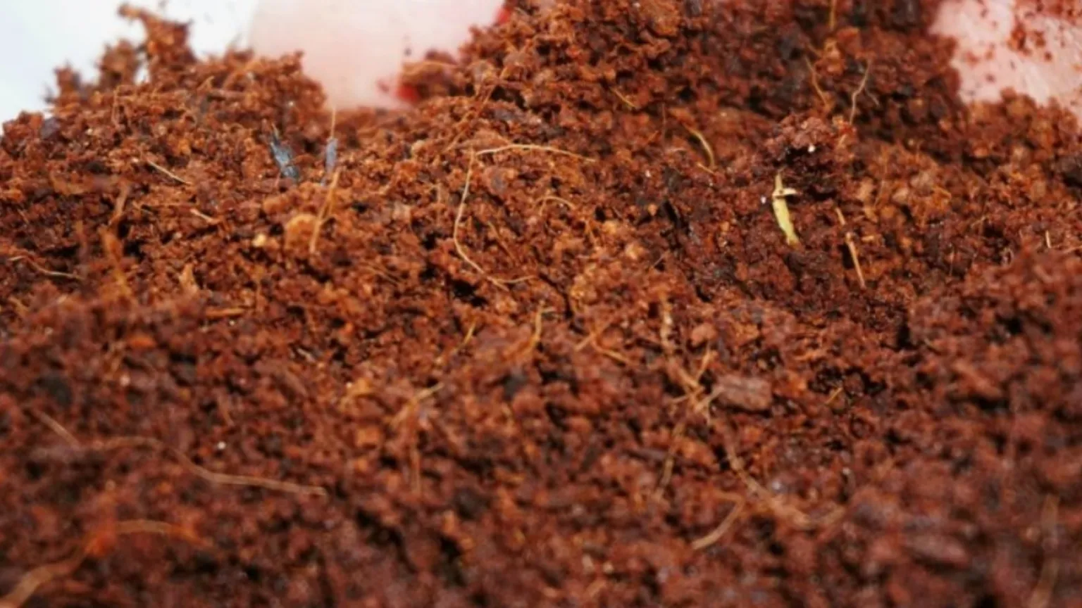 Đặc điểm giá thể trồng cây lý tưởng