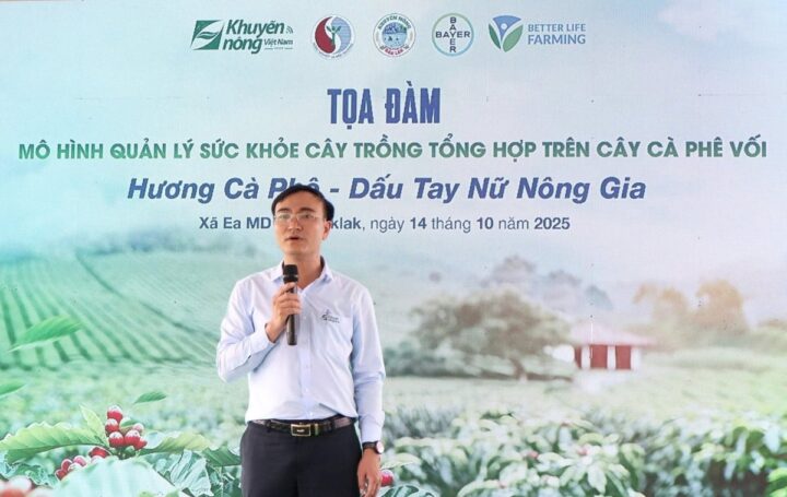 Cách Trồng Cây Vọng Cách Từ A Đến Z Đạt Năng Suất Cao Nhất