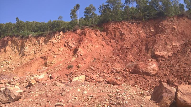 Đất Đồi Nên Trồng Cây Gì: Hướng Dẫn Chi Tiết Lựa Chọn Cây Trồng Bền Vững Và Hiệu Quả Kinh Tế