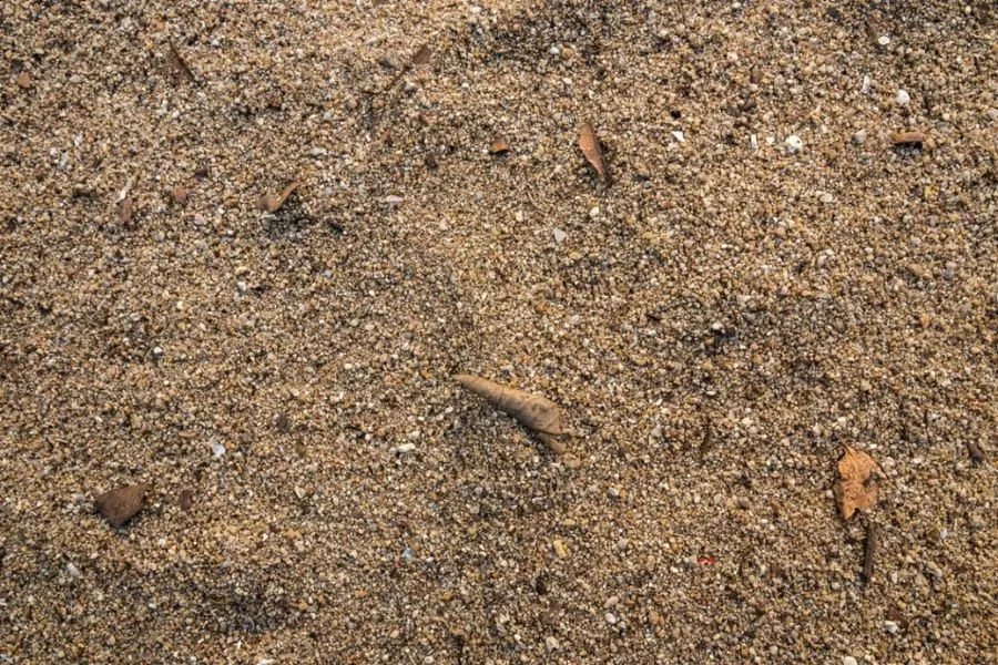 Đất lý tưởng để trồng hoa huệ bao gồm đất tơi xốp, nhiều mùn và có độ pH hơi chua, giúp củ tránh bị thối.