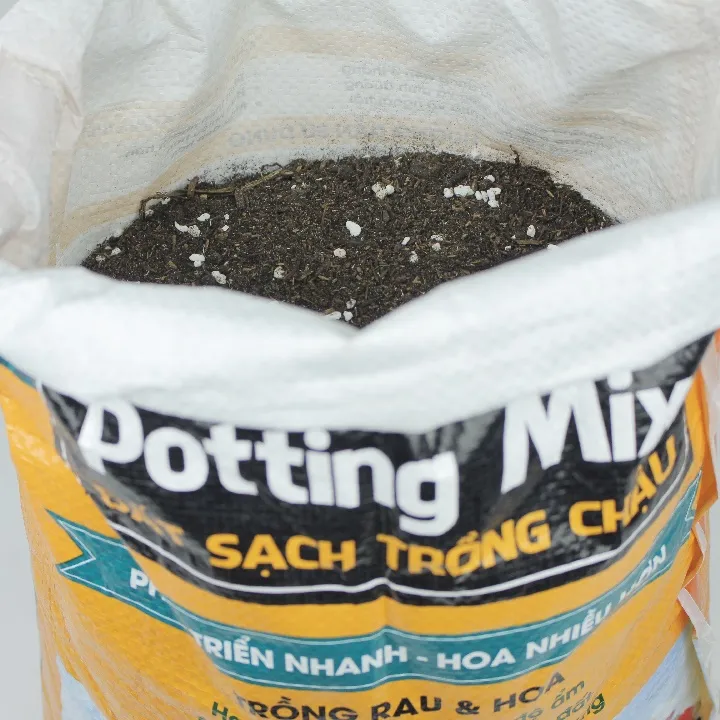 Đất namix có chứa các hạt đá Perlite Trân châu