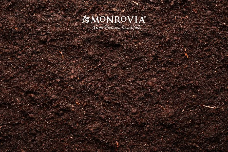 Đất phù sa là nguyên liệu phù hợp để làm giá thể trồng hoa hồng