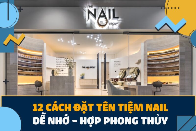 Cách Trồng Cây Phát Lộc Trong Nước: Hướng Dẫn Kỹ Thuật Chuyên Sâu Từ A-Z