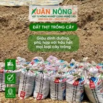 ĐẤT THỊT TRỒNG CÂY 