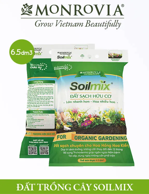 dat trong cay soilmix