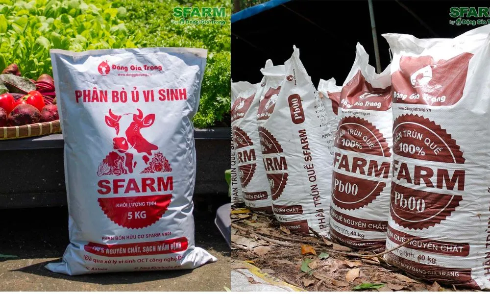 Đất trồng đã được trộn phân hữu cơ, bước chuẩn bị quan trọng trong cách trồng cây thanh mai.