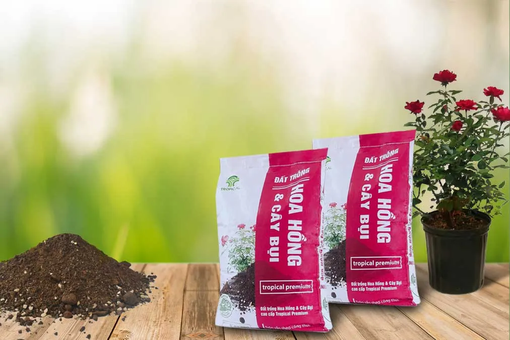 Đất trồng hoa hồng đã được phối trộn và ủ kỹ lưỡng