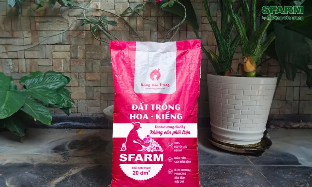 Đất trồng phù hợp với cây Lan Ý cần có độ tơi xốp và khả năng thoát nước tốt