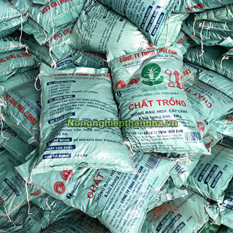 Cách Làm Đất Trồng Cây Cảnh Trong Chậu: Công Thức Chuyên Gia Cho Sự Phát Triển Tối Ưu