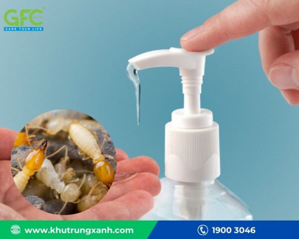 Cách Trồng Hoa Mười Giờ Bằng Chai Nhựa Đơn Giản Tại Nhà