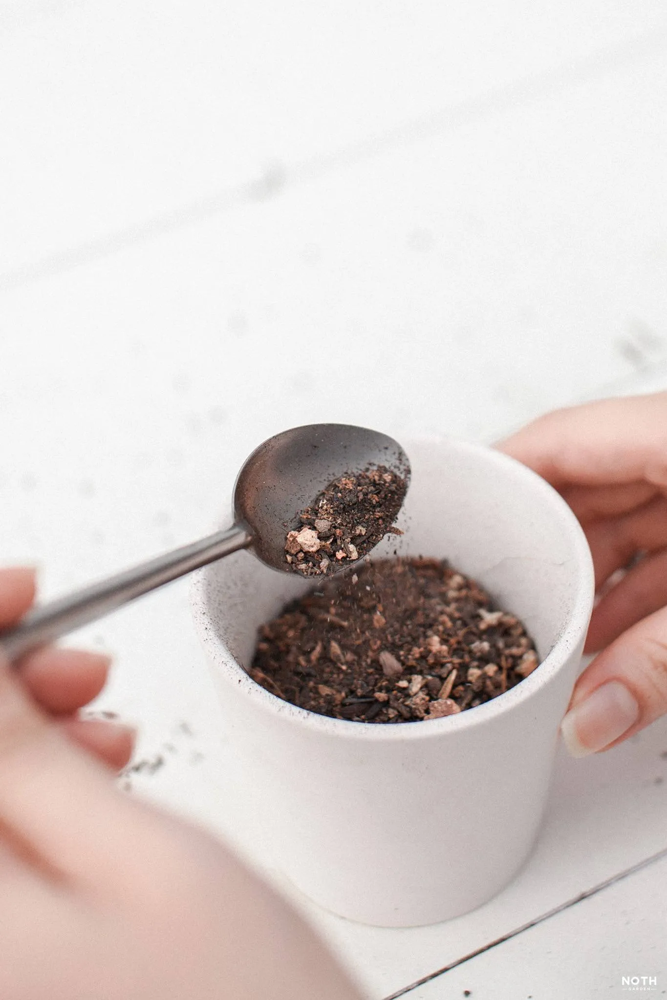 Đổ giá thể vào chậu và định vị cây sen đá không bị cao quá