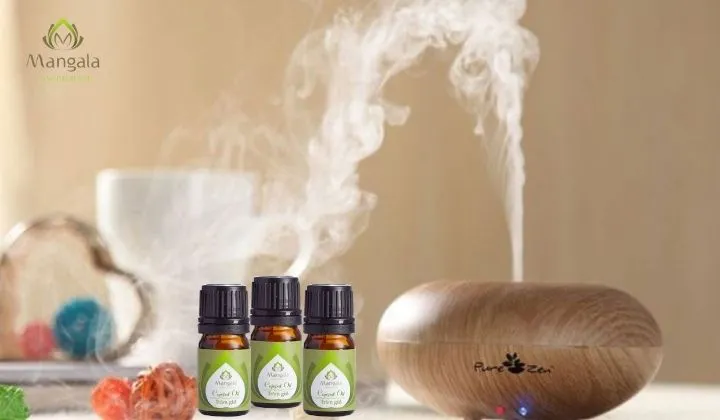 Dùng máy khuyếch tán xông tinh dầu tràm gió trong phòng ngủ để tiệt trùng, thanh lọc không khí để vệ sinh phòng ngủ phòng chống được nhiều bệnh nhiễm khuẩn