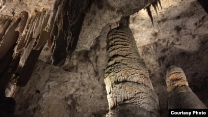 Mùa Hè Nên Trồng Cây Rau Gì Để Đạt Năng Suất Cao Nhất