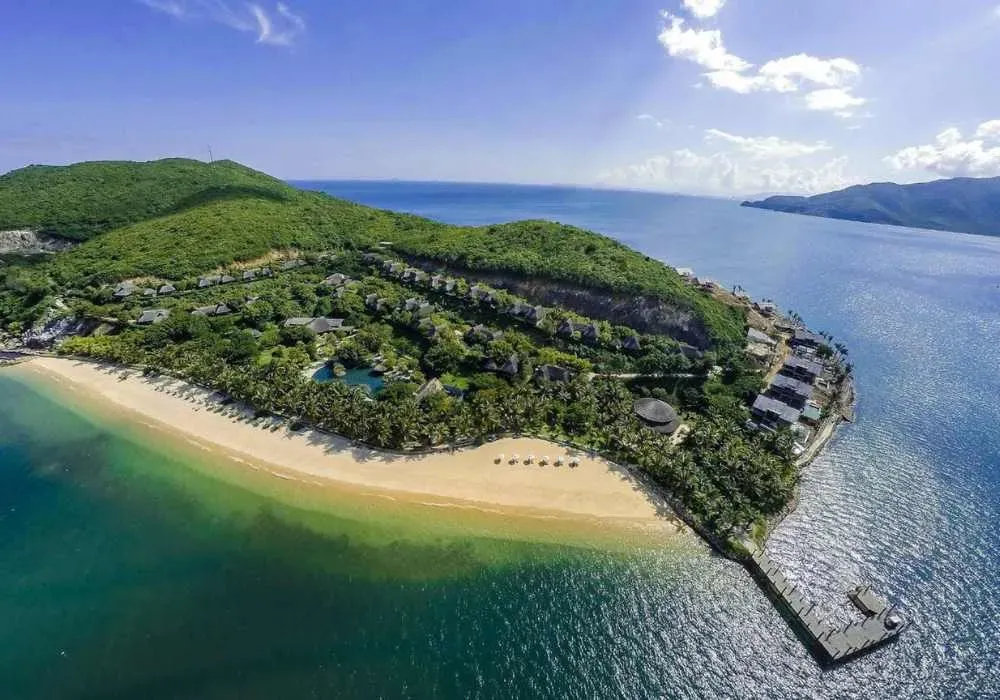 Giống dâu tây cần được chọn lựa kỹ để đảm bảo quả cứng cáp, phù hợp cho vận chuyển đường dài