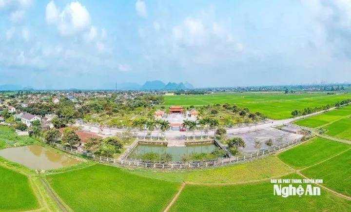 Góc khu lưu niệm với nhiều cây Kiều Hùng đang tạo cảnh quan, áp dụng cách trồng cây kiều hùng hiệu quả